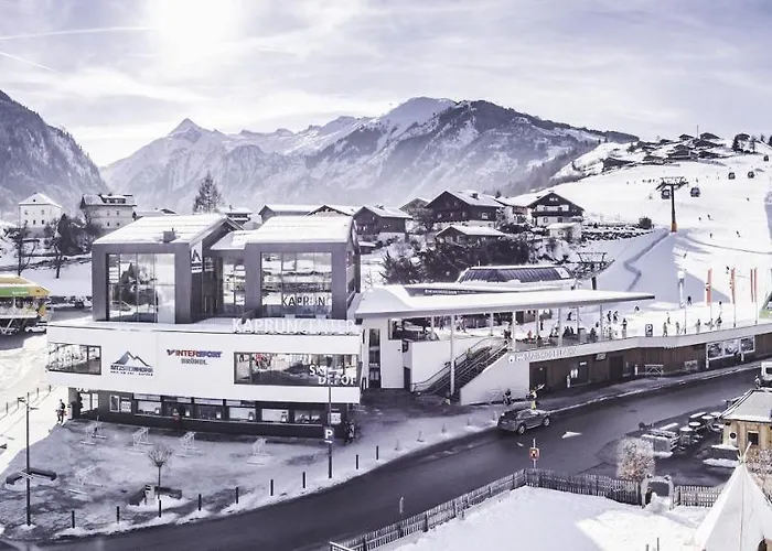 Mountain View 1-bedroom Apartment-top 1 Apartament *