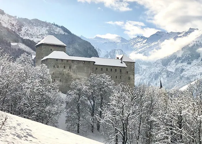 Mountain View 1-bedroom Apartment-top 1